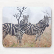 Zebras in early morning dust, Kruger National Mouse Pad