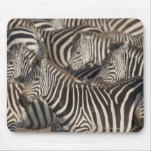 Zebras, Kenya, Africa Mousepads