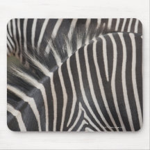 Zebras Mousepads