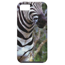 Zèbre adorable coque Case-Mate iPhone 5