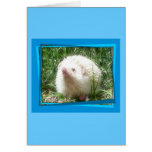 Zeke the Hedgehog Greeting Card