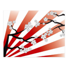 Zen blanc de fleurs de fleurs de cerisier de lever carte postale