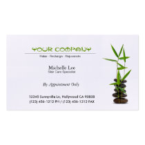 Zen élégant de spa/soins de la peau/massage cartes professionnelles