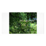Zen Epiphany Photo Cards