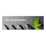 Zen Spa Business Cards