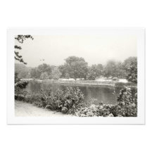 Zen Winter Snowfall I RSVP Custom Invitations