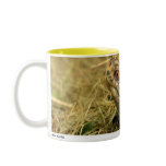 Zeppe 01 coffee mug