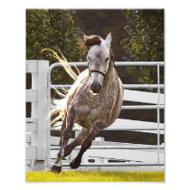 Zest For Life Art Photo