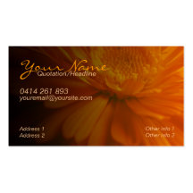 ZeSTiVE Business & Personal Card Business Card Template