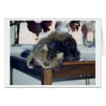 Zeus hanging out greeting card