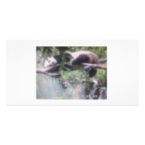 Zhen Zhen Custom Photo Card