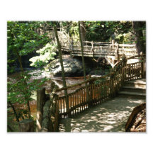 Zig Zag Bridge 10 x 8 Photographic Print