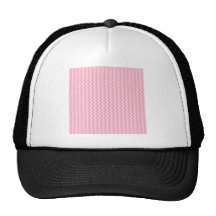 Zigzag Wide - Pale Pink and Carnation Pink Trucker Hat