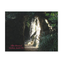 Zilker Botanical Gardens, Austin TX Postcard