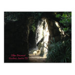 Zilker Botanical Gardens, Austin TX Postcard