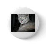 zina pinback buttons