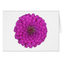 Zinnia Carte De Vœux