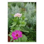 Zinnia Garden Greeting Cards