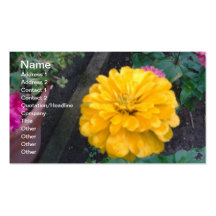 Zinnia jaune cartes de visite personnelles