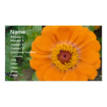 Zinnia orange cartes de visite professionnelles
