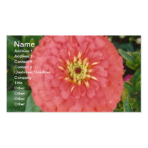 Zinnia rouge cartes de visite personnelles