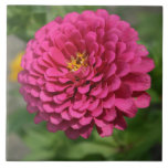 Zinnia Ceramic Tile