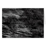 Zion B&W cards