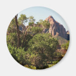 Zion Bridge Fridge Magnets