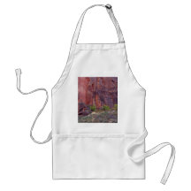 Zion Canyons Big Bend Cliffs Red Apron