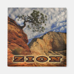 Zion Magnate Fridge Magnets