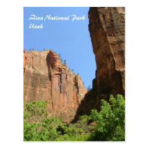 Zion National Park Post Card