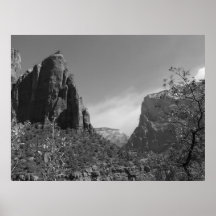Zion National Park Posters