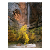 Zion National Park, Utah. USA. Ephemeral