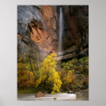 Zion National Park, Utah. USA. Ephemeral
