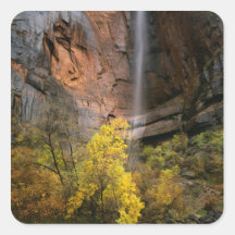 Zion National Park, Utah. USA. Ephemeral Sticker