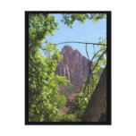 Zion Postcard