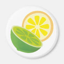 Zitrusfrüchte citrus fruits magnete