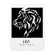 Zodiac Magnet