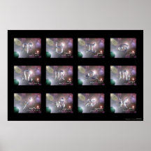 Zodiac Posters