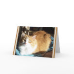 ZOE BABY GREETING CARD