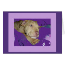 Zoe with purple border card