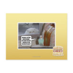 Zombies in the backyard postcards