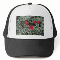 Zonal Geranium (Pelargonium Hortorum) flowers Trucker Hats
