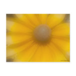 zone-plate-yellow-no1 postcard