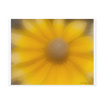 zone-plate-yellow-no1 post card
