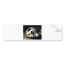 zoo-atlanta_giant_panda_lun-lun_and_cub bumper stickers