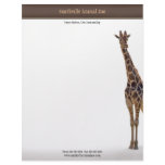 Zoo Business Card letterhead