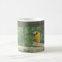 zoo coffee mugs