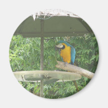 zoo refrigerator magnets