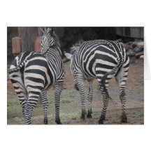 Zoo Series, Zebra Rear Admirals, stripes, no stars Greeting Card